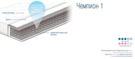 Матрас Чемпион 1