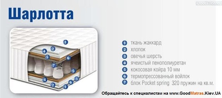 ➤ Матрас Шарлотта / Sharlotta Sonline ⚡ АКЦИЯ ...☎️... цены + отзывы ≡