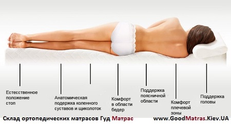 ◇  Матрас Standart Зима-Лето ⇨ ЕММ